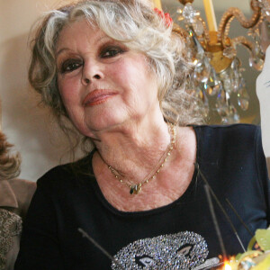 Brigitte Bardot lors des 20 ans de la Fondation Brigitte Bardot à Paris, le 28 septembre 2006. 