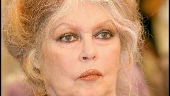 Brigitte Bardot hospitalisée en soins intensifs : l'actrice n'en a fait qu'à sa tête...