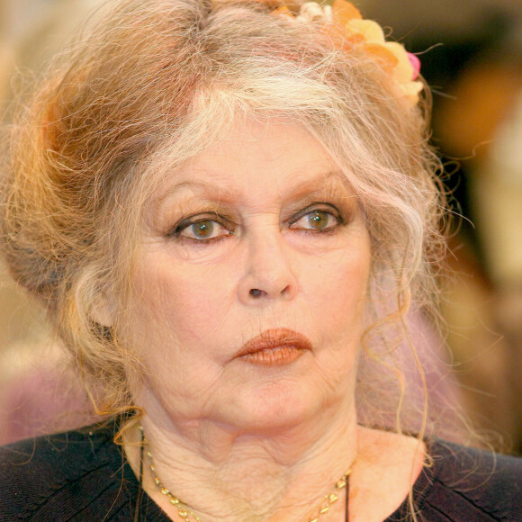 L'inquiétude est de mise. Selon nos confrères de France Dimanche, Brigitte Bardot aurait été hospitalisée à Toulon il y a déjà quelques semaines.
Brigitte Bardot - Noel des animaux de la S.P.A au palais des sports Marcel Cerdan.  © Guillaume Gaffiot / Bestimage