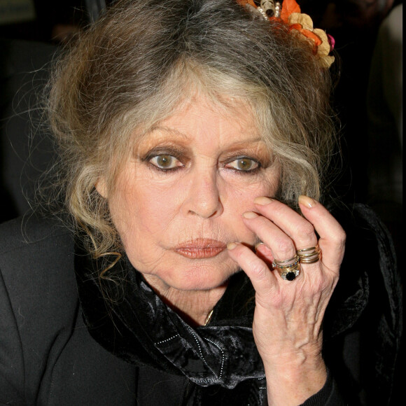 Brigitte Bardot - Noel des animaux de la S.P.A au palais des sports Marcel Cerdan.  © Guillaume Gaffiot / Bestimage