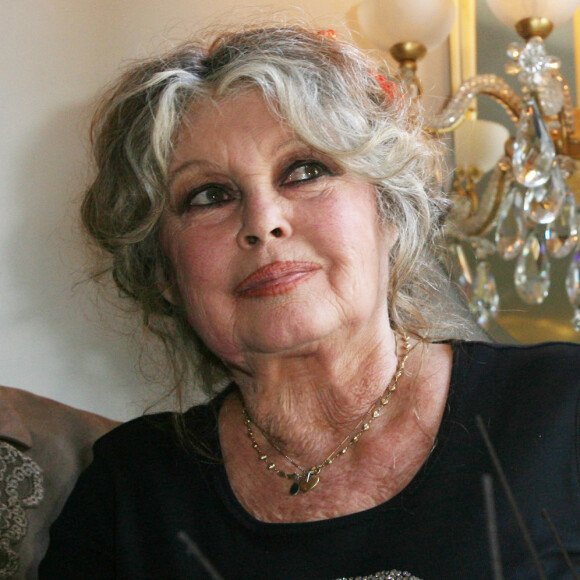 D'après nos confrères de "France Dimanche", la figure féminine des années 1950-1970 a récemment été hospitalisée d'urgence à Toulon, après une grave insuffisance respiratoire.
Brigitte Bardot lors des 20 ans de la Fondation Brigitte Bardot à Paris, le 28 septembre 2006. 