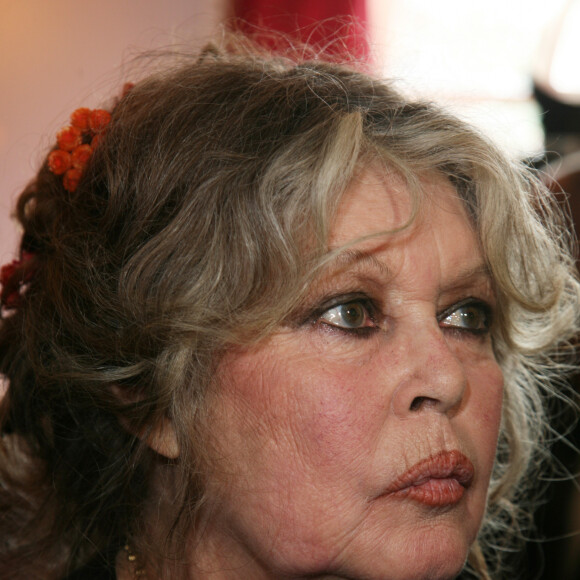 "Je tiens à rassurer tout le monde, je vais très bien", a-t-elle assuré à sa communauté, avant d'ajouter : "La presse a fait un scandale d'un malaise qui m'est arrivé en janvier".
Brigitte Bardot en 2006