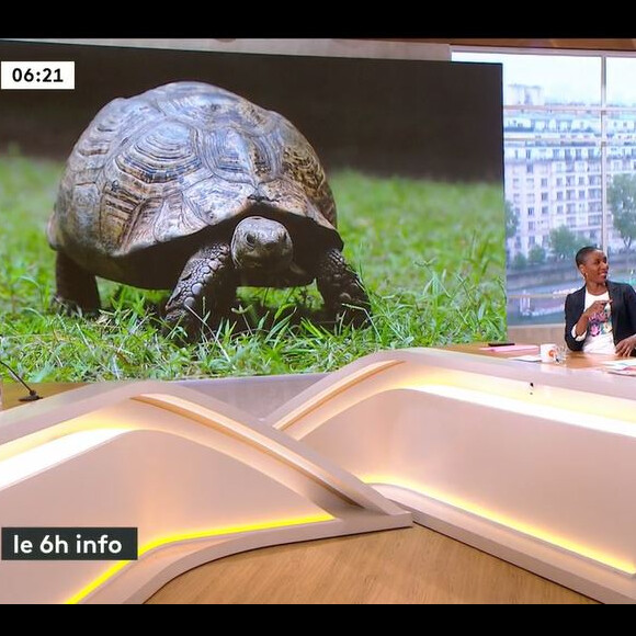 C'est alors que Thomas Sotto s'est mis à imiter une tortue
Thomas Sotto se lance dans d'incroyables imitations, le 23 mai 2023, avant le lancement de "Télématin", sur France 2