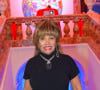 Elle avait quatre fils, dont deux sont décédés en 2018 et 2022. 
Tina Turner - Soiree "Torggelen" organisee par Signa Holding a Vienne en Autriche le 15 Novembre 2012.