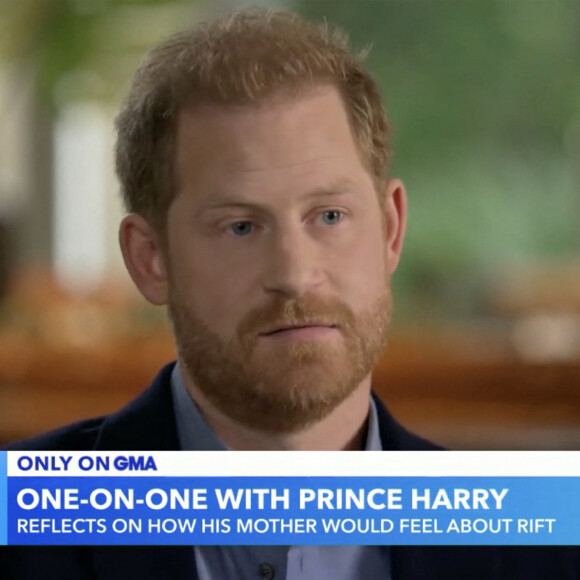 Le prince Harry a déclaré qu'il pensait que sa défunte mère, la princesse Diana, serait triste de voir les conflits avec son frère le prince William. 