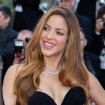 "C'est cool et coquin" : Shakira très proche de Lewis Hamilton, une officialisation à venir ?