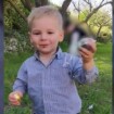 "Le grand-père s'est effondré" : Disparition d'Emile, 2 ans, une soirée familiale vire au drame