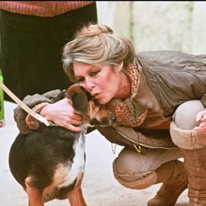 Brigitte Bardot.
AGENCE / BESTIMAGE