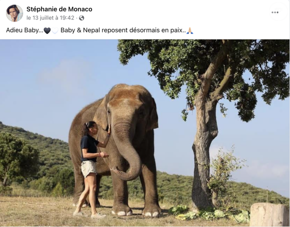 En effet, Stéphanie de Monaco a rendu hommage à Baby, une éléphante qu'elle avait recueillie. 
Stéphanie de Monaco rend hommage à son éléphante décédée.