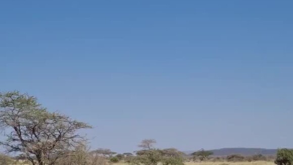 C'est l'été dde tous les possibles, pour les amoureux.
Géraldine Maillet au Serengeti National Park. Le 27 juillet 2023.
