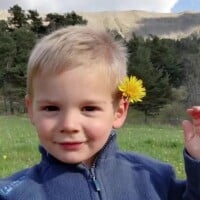 Disparition d'Émile, 2 ans et demi : Deux explications données au silence de la famille