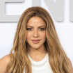 Shakira et Lewis Hamilton : Les coulisses de leurs rendez-vous secrets à Ibiza (enfin) dévoilés