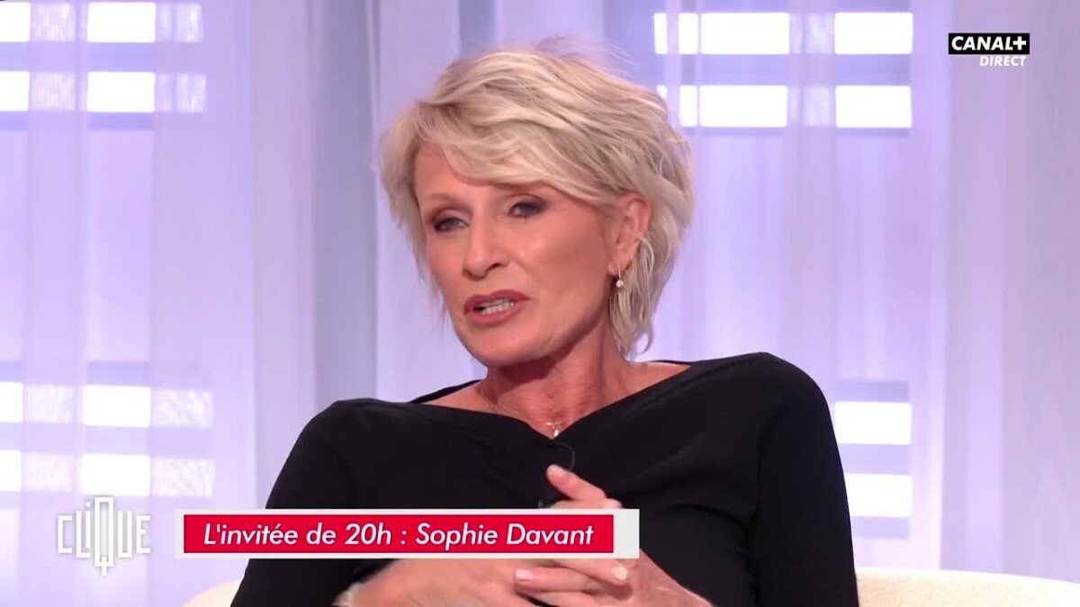 Sophie Davant et Pierre Sled : Cette remarque très déplacée sur son salaire  et son ex-mari - Purepeople