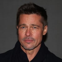 Brad Pitt en fâcheuse posture : une artiste française reconnue, au RSA à cause de lui... ça ne passe pas !
