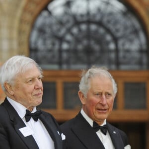 Le prince William, duc de Cambridge, Sir David Attenborough, le prince Charles, prince de Galles, le prince Harry, duc de Sussex, à la première de la série Netflix "Our Planet" au Musée d'Histoires Naturelles à Londres, le 4 avril 2019. 