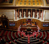 Vue de l'assemblée du Sénat au Palais du Luxembourg. Photo : Jean-Bernard Vernier/JBV News/ABACAPRES.COM