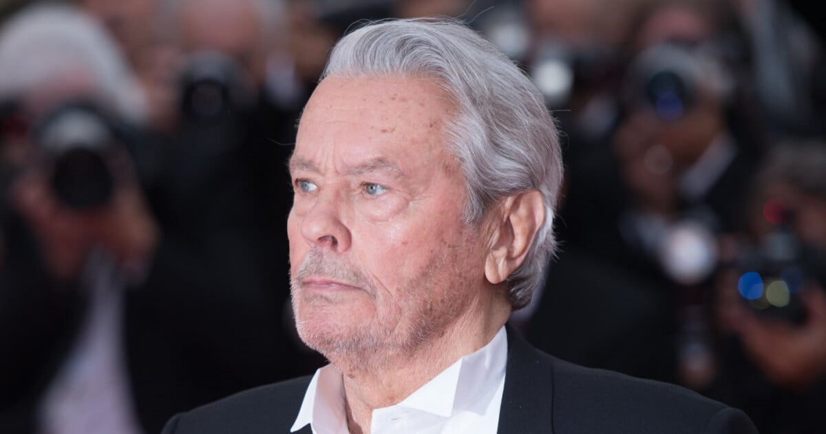 Affaire Alain Delon : plaintes de ses enfants et d'Hiromi Rollin, la