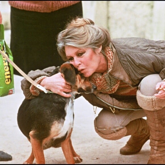 Regrettant de voir cette "icone sublime qui représente la France avec panache" dans cette situation.
Brigitte Bardot et un chien (photo d'archive non datée)