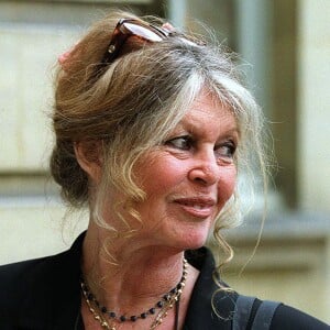 Brigitte Bardot à Matignon pour plaider la cause des animaux le 16 juillet 2001