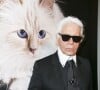 Karl Lagerfeld est mort le 19 février 2019 à l'âge de 85 ans à Neuilly-sur-Seine.
Karl Lagerfeld au vernissage "Corsa Karl et Choupette" à Berlin en Allemagne le 3 février 2015.