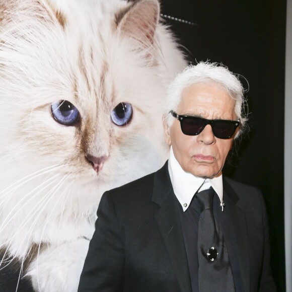 Karl Lagerfeld est mort le 19 février 2019 à l'âge de 85 ans à Neuilly-sur-Seine.
Karl Lagerfeld au vernissage "Corsa Karl et Choupette" à Berlin en Allemagne le 3 février 2015.