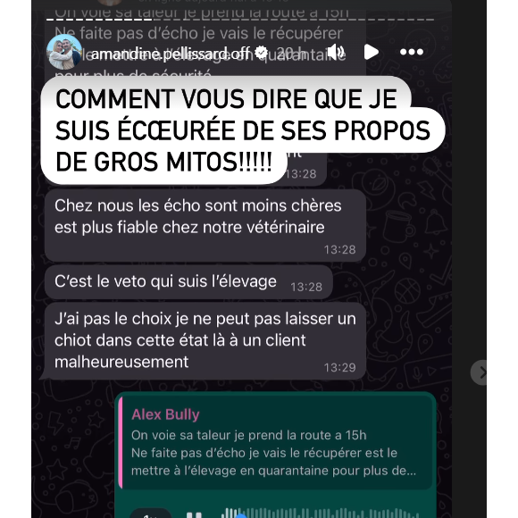 Il vomissait des corps étrangers et a donc dû consulter un vétérinaire en urgence
Amandine Pellissard est en guerre contre l'éleveur de Kartel