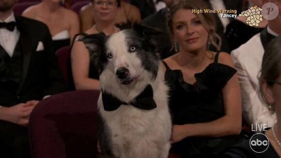Il a d'abord salué le chien du film Anatomie d'une Chute. 
Jimmy Kimmel - Ouverture de la cérémonie des Oscars, 11 mars 2024.