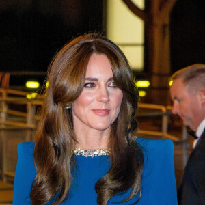 En effet, l'AFP et d'autres agences de presse ont confirmé que la photo avait été manipulée et ont invité les journalistes à ne plus la diffuser. Le prince William et Catherine, princesse de Galles, ainsi que la princesse héritière Victoria et le prince Daniel de Suède, ont assisté à un spectacle au Royal Albert Hall.
