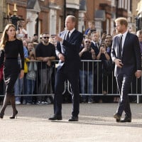 Prince Harry de retour à Londres : Une visite à Kate Middleton, malade, prévue ? Son message de soutien n'a pas eu l'effet voulu...