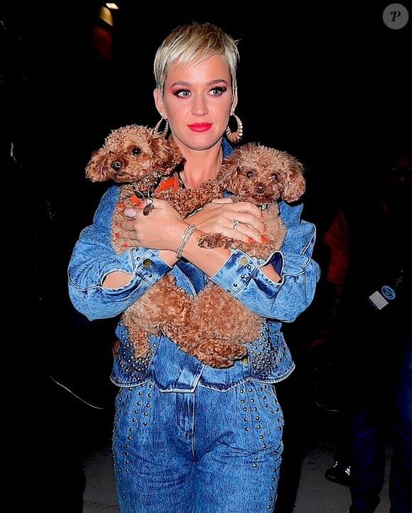 Katy Perry a été rejointe par son petit ami Orlando Bloom alors qu'elle quittait les auditions d'American Idol à New York lundi. La chanteuse portait ses adorables chiots dans ses bras alors qu'elle sortait des studios après une journée de tournage. Photo by 247PAPS.TV/Splash News/ABACAPRESS.COM
