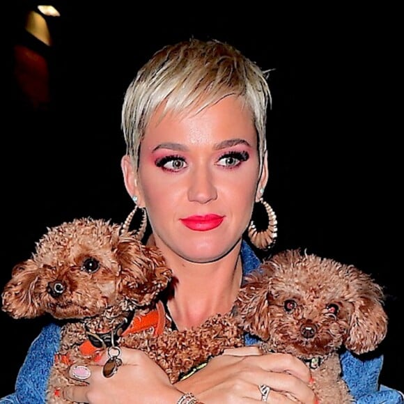 Katy Perry a été rejointe par son petit ami Orlando Bloom alors qu'elle quittait les auditions d'American Idol à New York lundi. La chanteuse portait ses adorables chiots dans ses bras alors qu'elle sortait des studios après une journée de tournage. Photo by 247PAPS.TV/Splash News/ABACAPRESS.COM