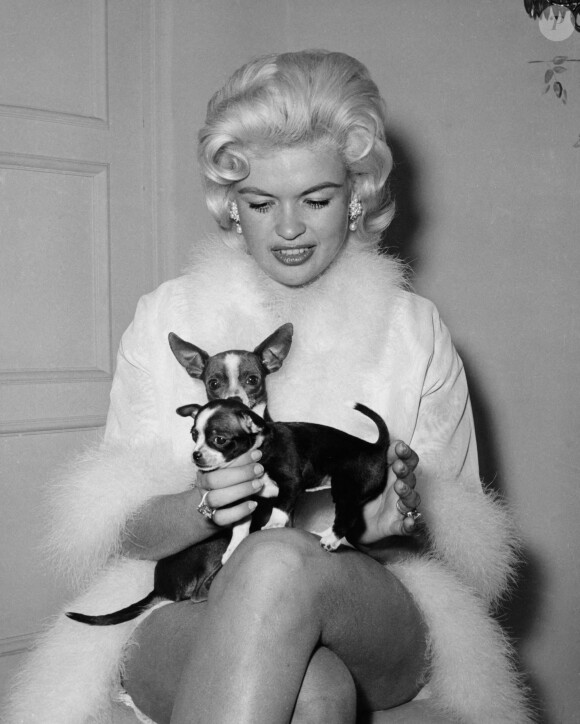 Jayne Mansfield avec ses chiens, vers 1966. Photo par The Hollywood Archive / Hollywood Archive / Avalon /ABACAPRESS.COM