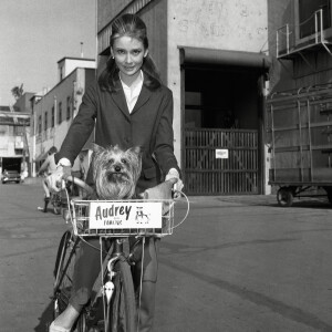 Audrey Hepburn avec son chien Famous, vers 1961. Photo par HA / JoeMartinez NetropolisPicturelux / Avalon /ABACAPRESS.COM