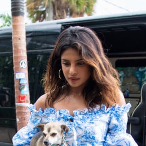 Priyanka Chopra et son chien à Miami le 4 août 2019. Photo by Splash News/ABACAPRESS.COM