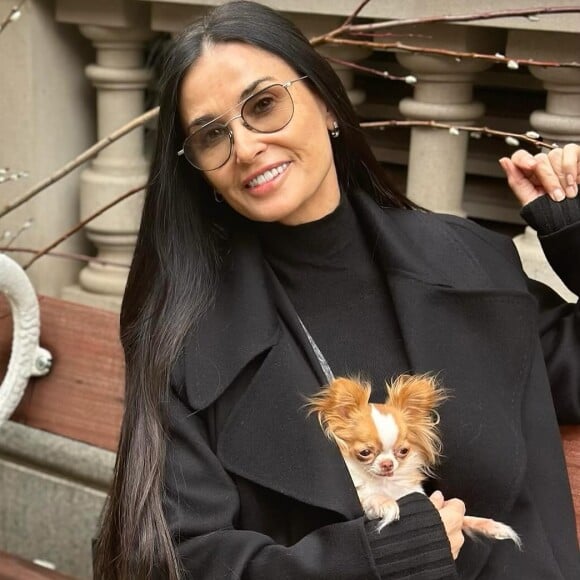 Demi Moore ne se déplace plus jamais sans Pilaf, son chihuahua de 12 cm© Photo : Instagram demimoore