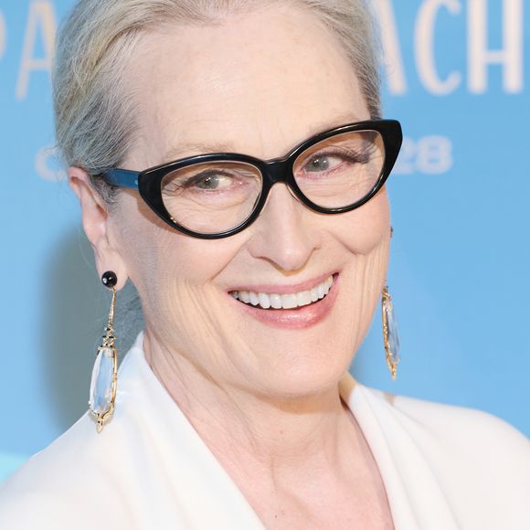 Meryl Streep était l'invitée d'honneur de la cérémonie d'ouverture du Festival de Cannes cette année
Meryl Streep - Photocall du dîner d'ouverture du 77ème Festival International du Film de Cannes, au Carlton. Le 14 mai 2024 © Borde-Jacovides-Moreau / Bestimage 