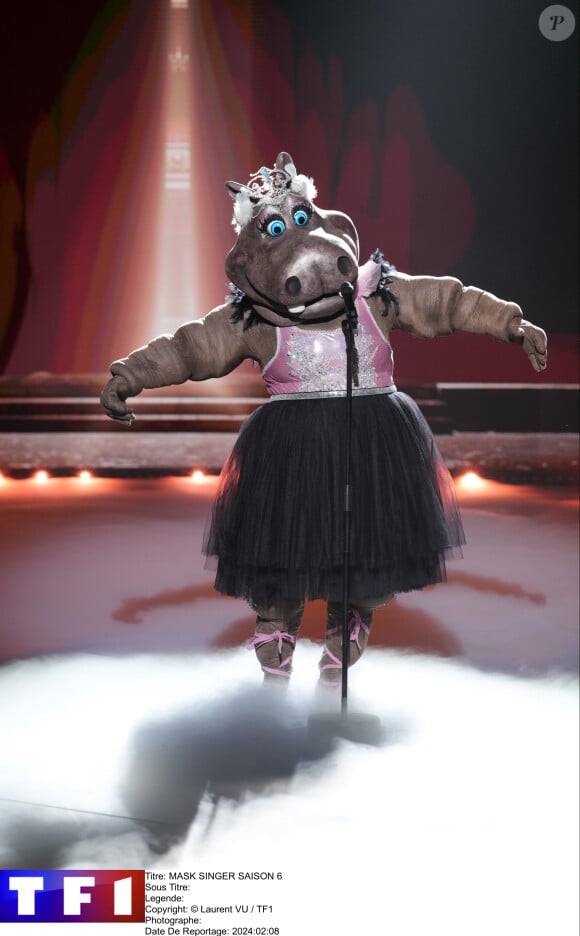 Après plusieurs semaines d'enquête, Purepeople est prêt à vous dévoiler l'identité de l'hippopotame

L'Hippopotame de "Mask Singer 2024", photo officielle