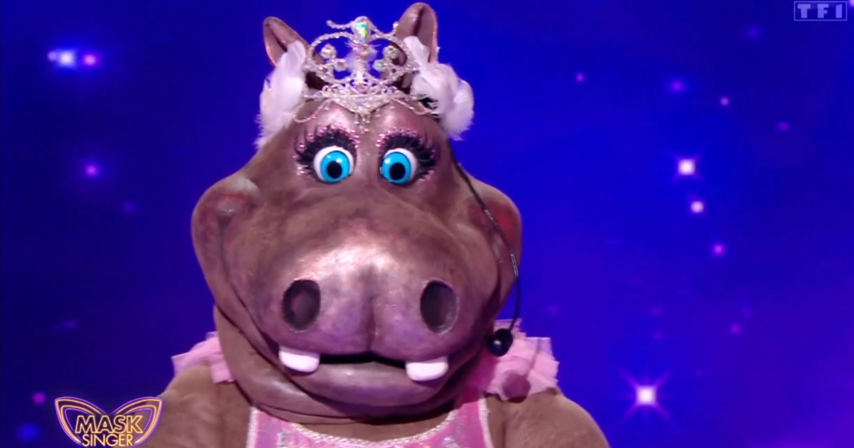 L'Hippopotame remporte Mask Singer 2024 On avait découvert qui se