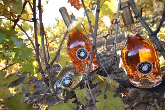 Château Miraval, le vin produit par Brad Pitt et Angelina Jolie. Le 10 décembre 2013. @ShootPix/ABACAPRESS.COM