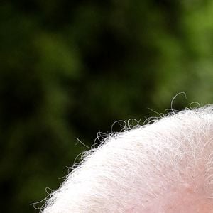 Il a eu une vie professionnelle aussi remplie que la personnelle
Rendez-vous avec William Sheller lors des "25 ans de la Forêt des livres" à Chanceux-près-Loches. Le 29 août 2021 © Cédric Perrin / Bestimage