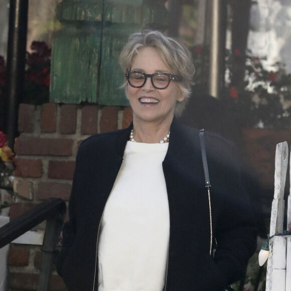 Sharon Stone à Beverly Hills
