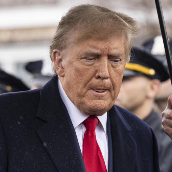 Donald Trump © Lev Radin/ZUMA Press Wire