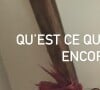 Le choix de Louane a pu en surprendre quelques uns, elle la première, qui s'est exclamée : "Qu'est-ce que je fais encore ?"