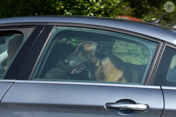 Rosalie van Breemen quittant le domaine d'Alain Delon à Douchy avec, dans sa voiture, le chien de la star, Loubo - 22 août 2024 ABACAPRESS.COM