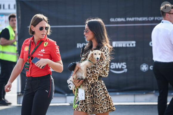 Charles Leclerc a pu partager sa victoire avec sa compagne Alexandra Saint Mleux ce jour-là
Alexandra Saint Mleux avec son chien Leo lors du Grand Prix F1 d'Italie à Monza le 31 août 2024. © Dppi / Panoramic / Bestimage 