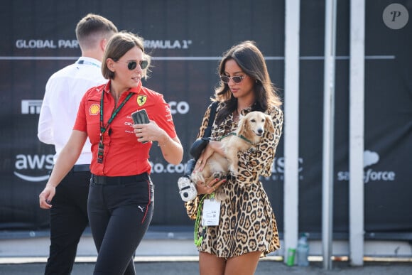 Cette dernière avait fait le déplacement à Monza en compagnie de Leo, le chien récemment adopté par le couple
Alexandra Saint Mleux avec son chien Leo lors du Grand Prix F1 d'Italie à Monza le 31 août 2024. © Dppi / Panoramic / Bestimage