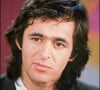 Bruce Toussaint a affirmé que Jean-Jacques Goldman avait "abandonné" le public
Jean Jacques Goldman sur un plateau TV - archives