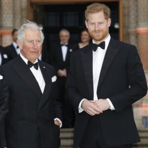 A rappeler que la soirée s'est tenue à l'hôtel Sheraton New York Times Square. Nul doute que la progéniture du prince Harry a certainement été éblouie !
Le prince Charles, prince de Galles, le prince Harry, duc de Sussex, à la première de la série Netflix "Our Planet" au Musée d'Histoires Naturelles à Londres, le 4 avril 2019. 