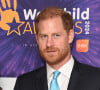 Harry est tombée des nues en constatant que sur la photo de leur première rencontre, Noah possédait exactement la même (une girafe surnommée Raffy) 5 ans plus tard
Le prince Harry, duc de Sussex, participe en tant que parrain aux WellChild Awards à Londres, le 30 septembre 2024. Les WellChild Awards récompensent les qualités inspirantes de certains des jeunes gravement malades du pays et le dévouement de ceux qui les maintiennent en bonne santé et heureux, notamment les professionnels de la santé, de l'aide sociale et de l'éducation. Le Prince Harry assiste régulièrement à l'événement annuel organisé par WellChild, l'organisme caritatif national qui fournit un réseau national d'infirmières, des projets de rénovation domiciliaire et des programmes de soutien aux familles. 