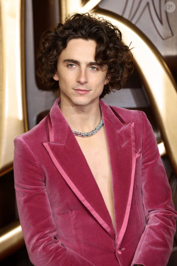 Timothée Chalamet s'est discrètement mêlé aux participants, caché sous une casquette et un masque noir
Londres, Royaume-Uni - Première mondiale de 'Wonka' au Royal Festival Hall de Londres : Timothee Chalamet